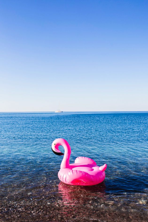 Flamingo sommer klein