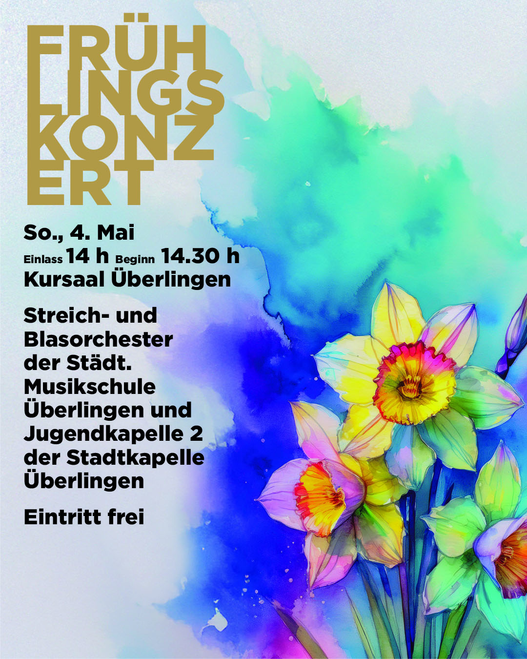 social media Frühlingskonzert 2025
